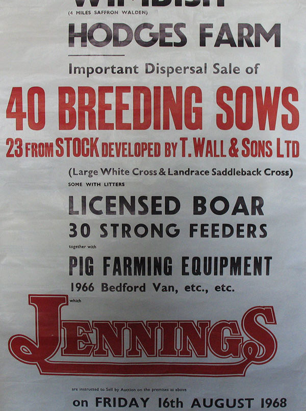 Sale of Piglets in 1968 at Piglets Boutique B&B