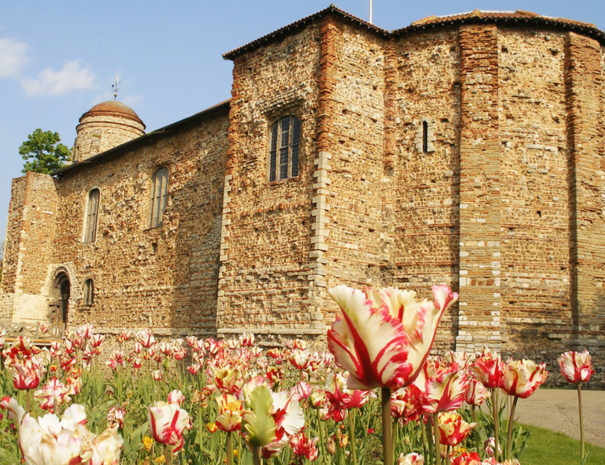 Colchester Castle Museum | Piglets Boutique B&B