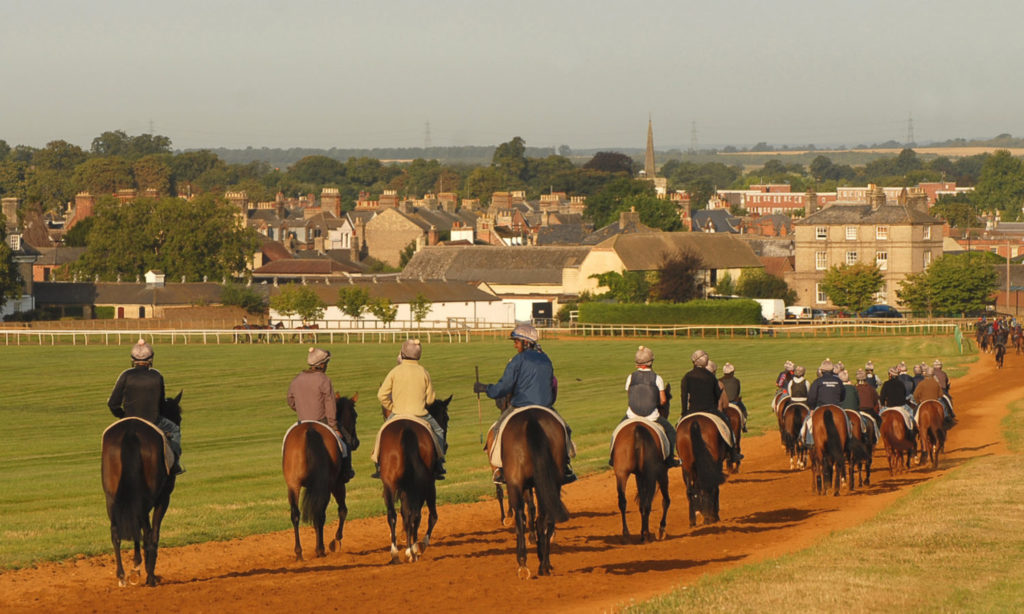 The gallops at Newmarket | Visit Newmarket races and stay at luxury B&B | Boutique luxury B&B near Newmarket races