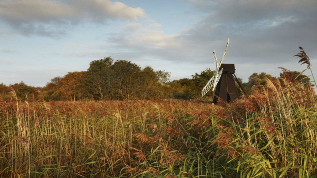 Wicken Fen | Piglets Boutique B&B