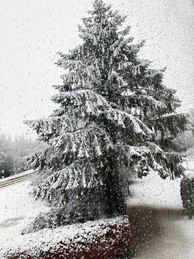 Winter snow in the country looking out of the gate at Piglets Boutique Country Stay