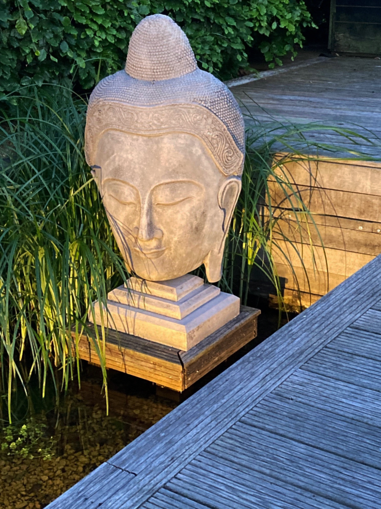 The Buddha in the tranquil water at Piglets eco swimming pond, a great area for meditation