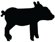 Black Piglets Pig Logo