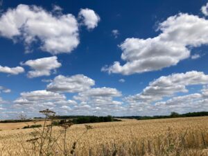 Clouds in blue skies over Piglets Boutique Country Stay