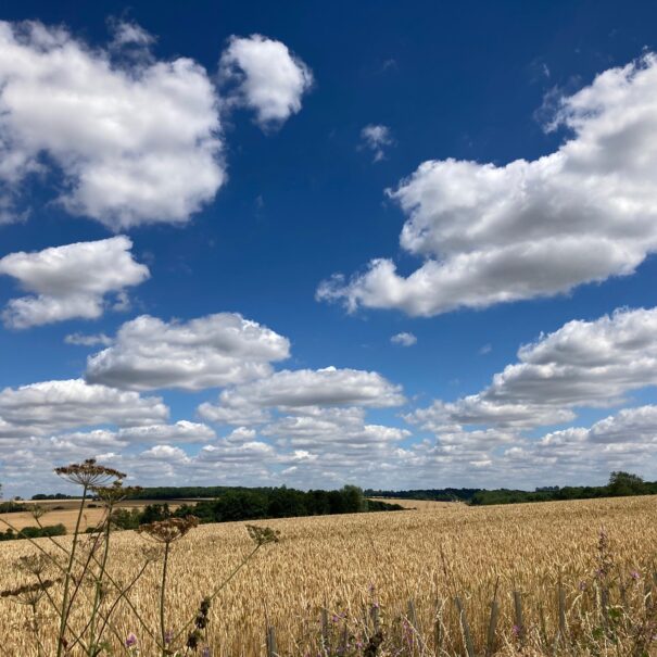 Clouds in blue skies over Piglets Boutique Country Stay