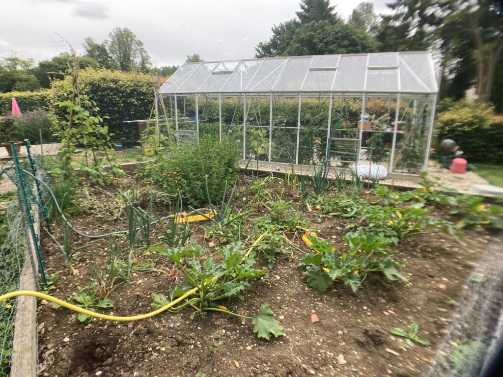 Vegetable patch and greenhouse at Piglets Boutique Country Stay