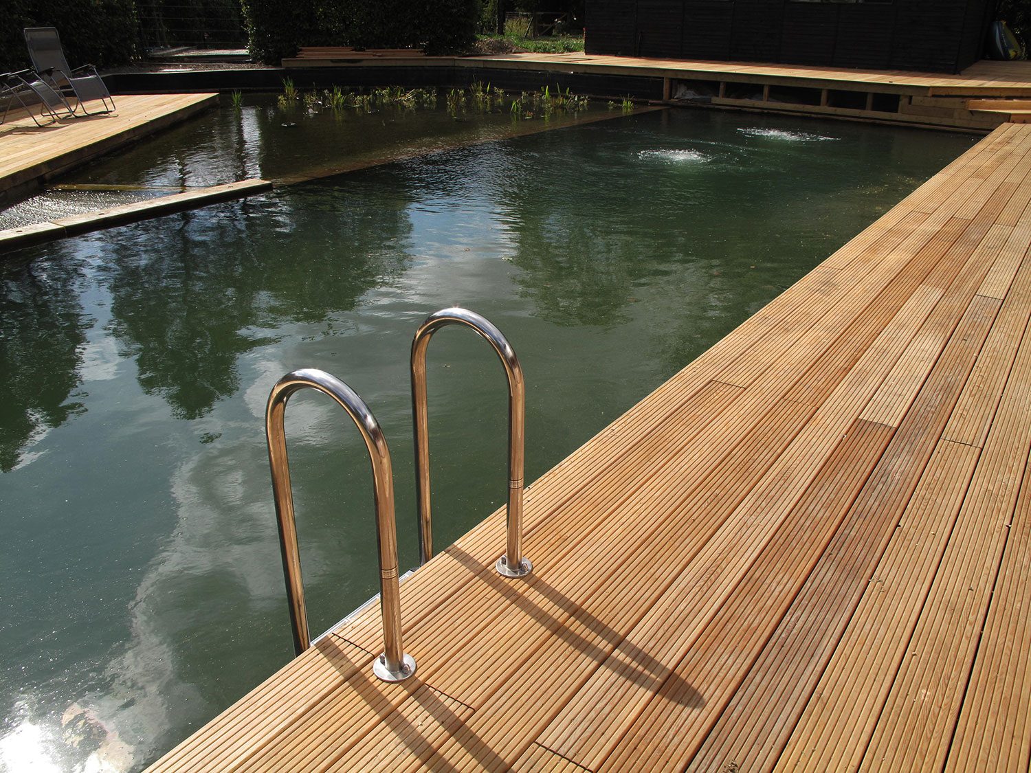 Why not have a dip in our natural swimming pond
